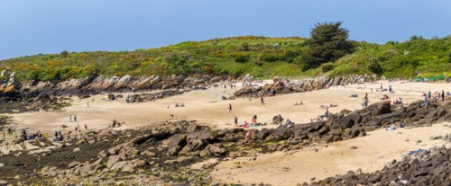 Iles Chausey, Manche