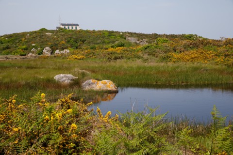 Iles Chausey, Manche