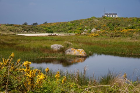 Chausey, Manche