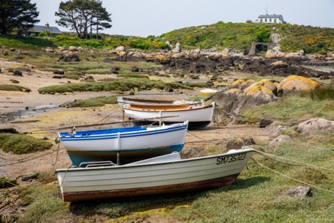Iles Chausey, Manche