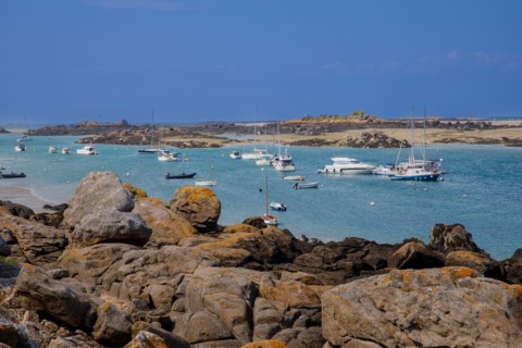Iles Chausey, Manche