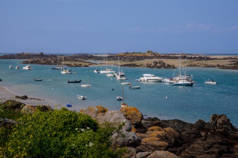 Iles Chausey, Manche