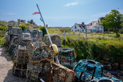 Iles Chausey, Manche