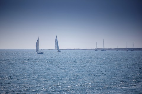Baie du Mont-Saint-Michel, Manche