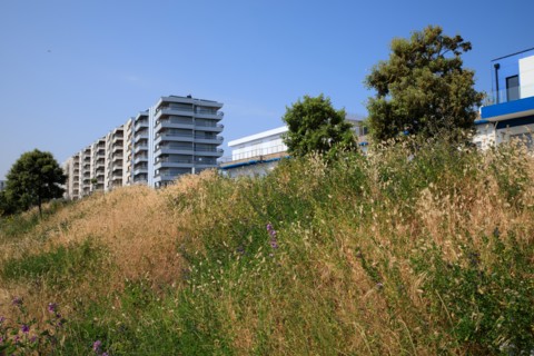 Calais, Pas de Calais