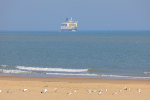 Calais, Pas de Calais