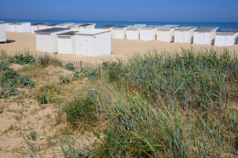Calais, Pas de Calais