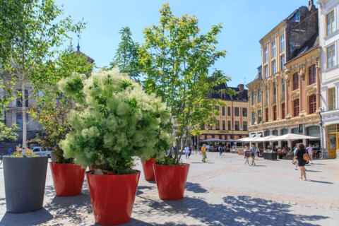 Lille, Nord