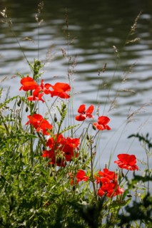 Amiens, Somme
