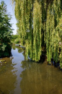 Amiens, Somme department