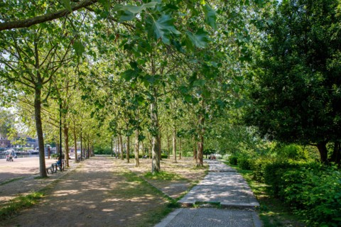 Amiens, Somme