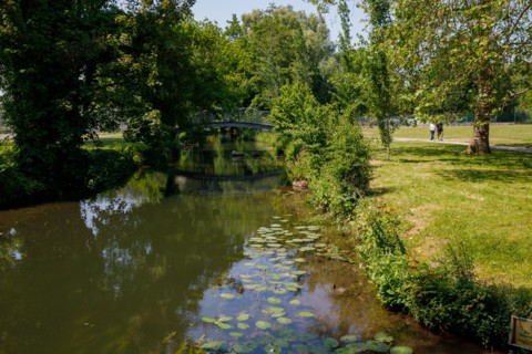 Amiens, Somme