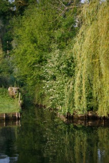 Amiens, Somme department