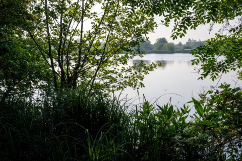 Amiens, Somme department