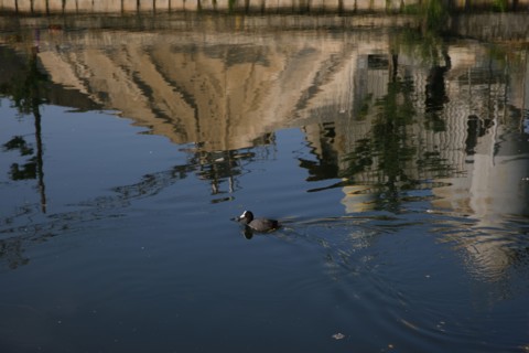 Amiens, Somme