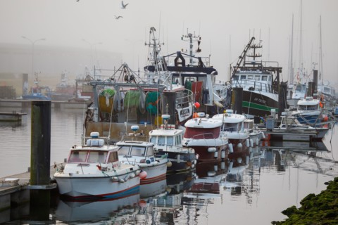 Le Tréport, Seine-Maritime department