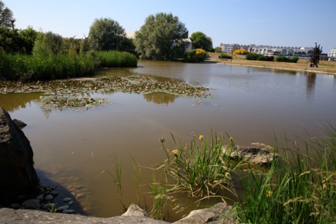 Dunkerque, Nord