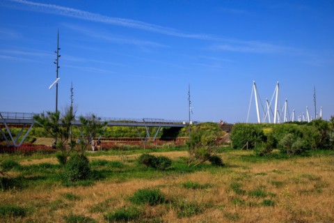 Dunkerque, Nord