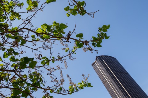 Tour Montparnasse, Paris