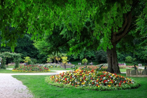 Saint-Omer, Hauts-de-France