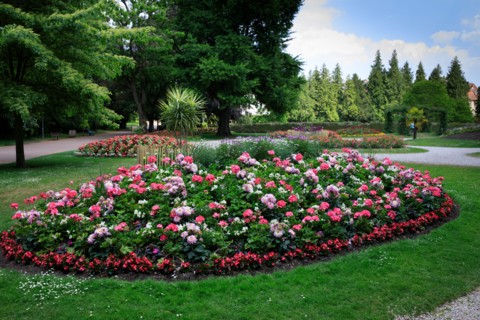 Saint-Omer, Hauts-de-France