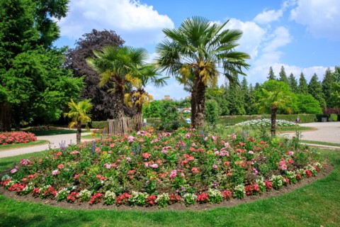 Saint-Omer, Hauts-de-France