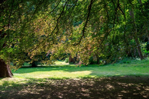 Saint-Omer, Hauts-de-France
