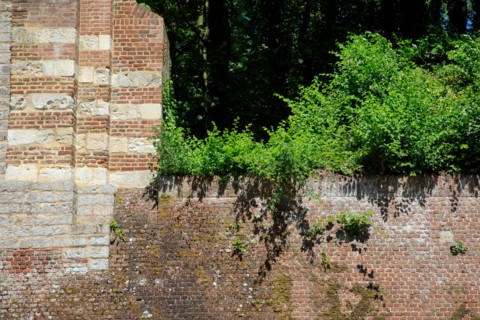 Arras, Pas-de-Calais