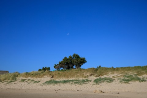 Réville, Manche