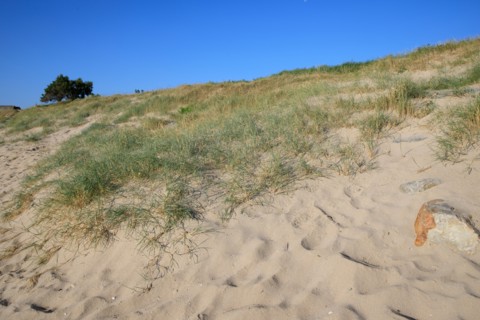 Réville, Manche