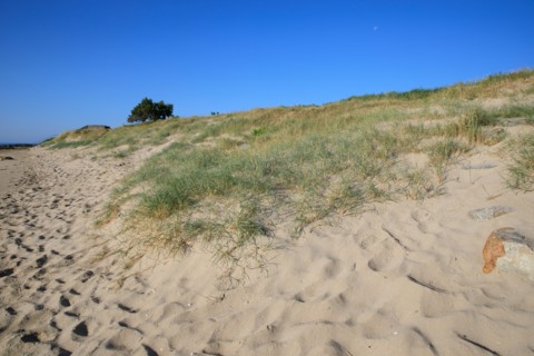 Réville, Manche