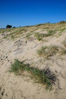 Réville, Manche