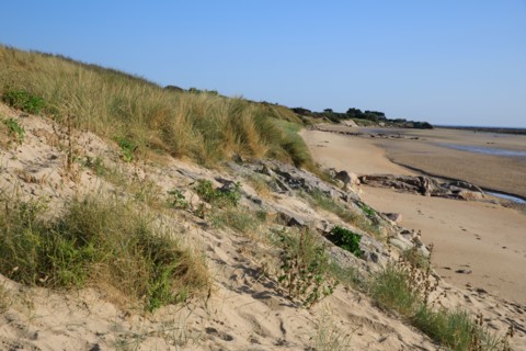 Réville, Manche