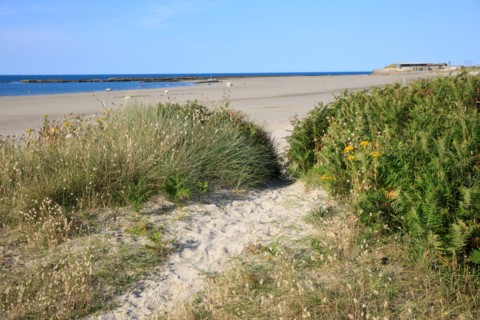 Urville-Nacqueville, Manche department