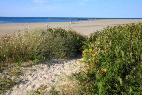 Urville-Nacqueville, Manche department