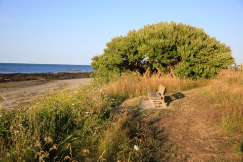 Urville-Nacqueville, Manche department
