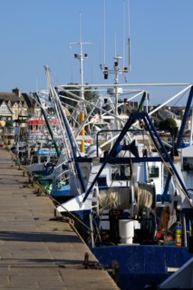 Saint-Vaast-la-Hougue, Manche