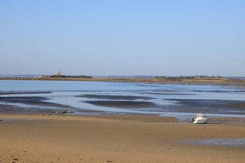 Réville, Manche department