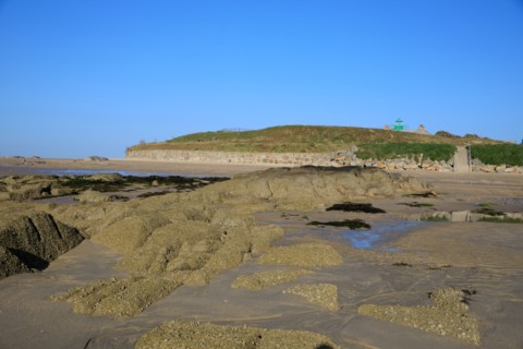 Réville, Manche department