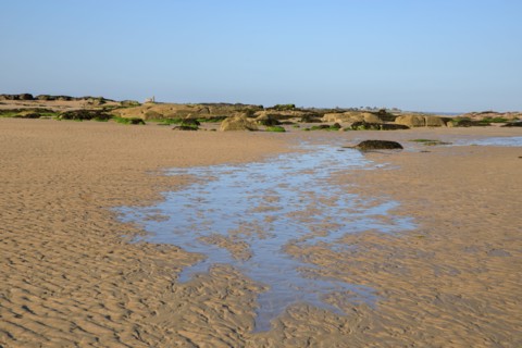 Réville, Manche department