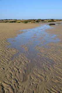 Réville, Manche department