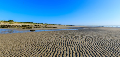 Réville, Manche department