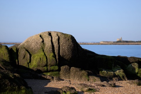 Réville, Manche department