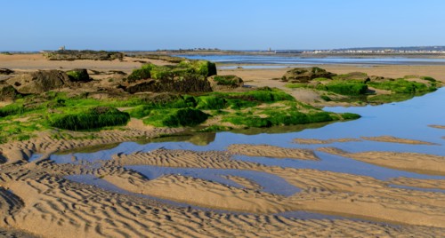 Réville, Manche department