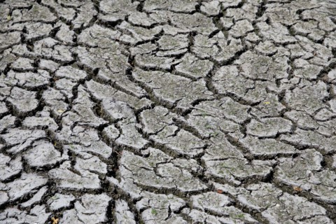 Terre sèche, Saint-Omer, Pas-de-Calais