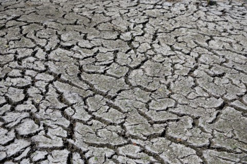 Terre sèche, Saint-Omer, Pas-de-Calais