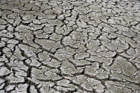 Terre sèche, Saint-Omer, Pas-de-Calais