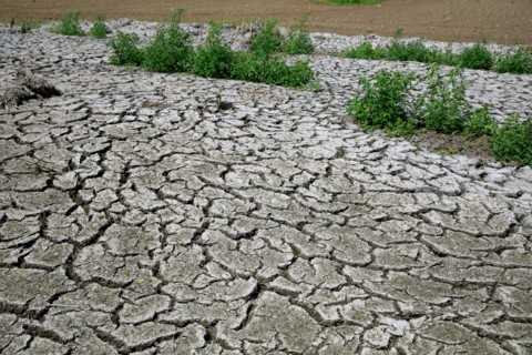 Terre sèche, Saint-Omer, Pas-de-Calais