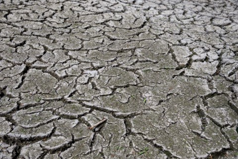 Terre sèche, Saint-Omer, Pas-de-Calais