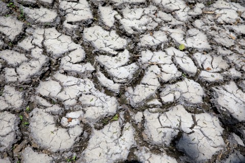 Terre sèche, Saint-Omer, Pas-de-Calais